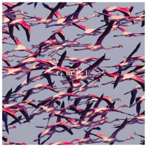 Deftones - Gore CD